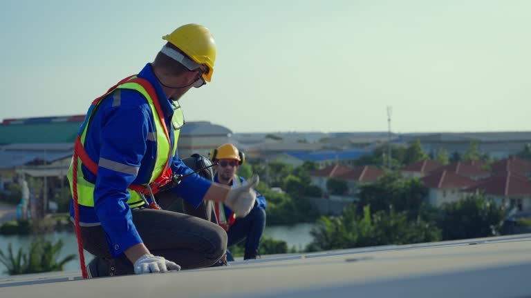 Best Roof Moss and Algae Removal  in Sand Springs, OK